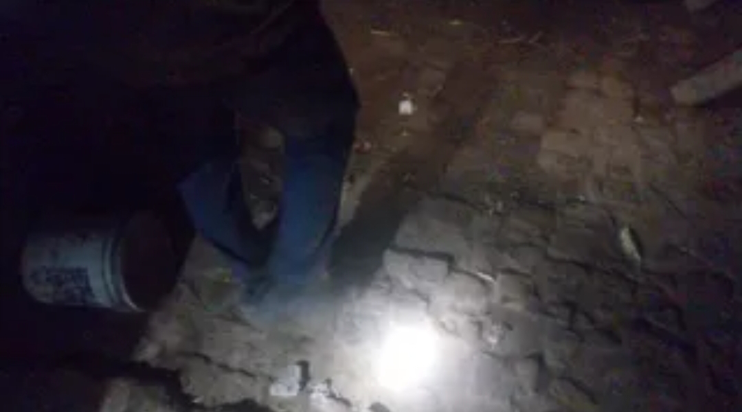 हजारीबाग में हाथियों का तांडव: एक ही परिवार के चार सदस्यों समेत 6 लोगों की मौत, इलाके में दहशत